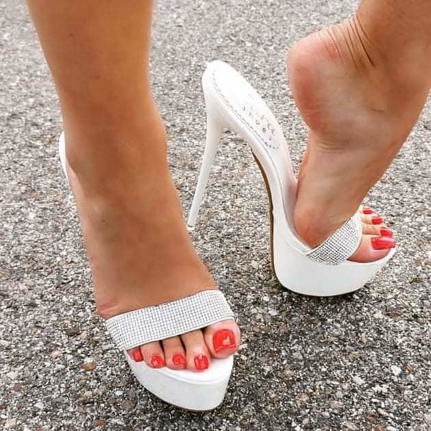 Plataforma
 #90011624