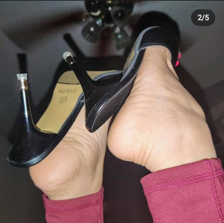 Plataforma
 #90011708