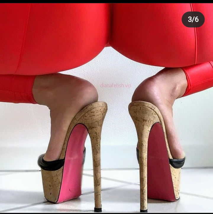 Plataforma
 #90011726