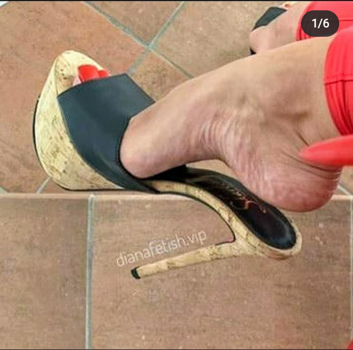 Plataforma
 #90011729