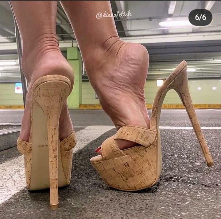 Plataforma
 #90011738