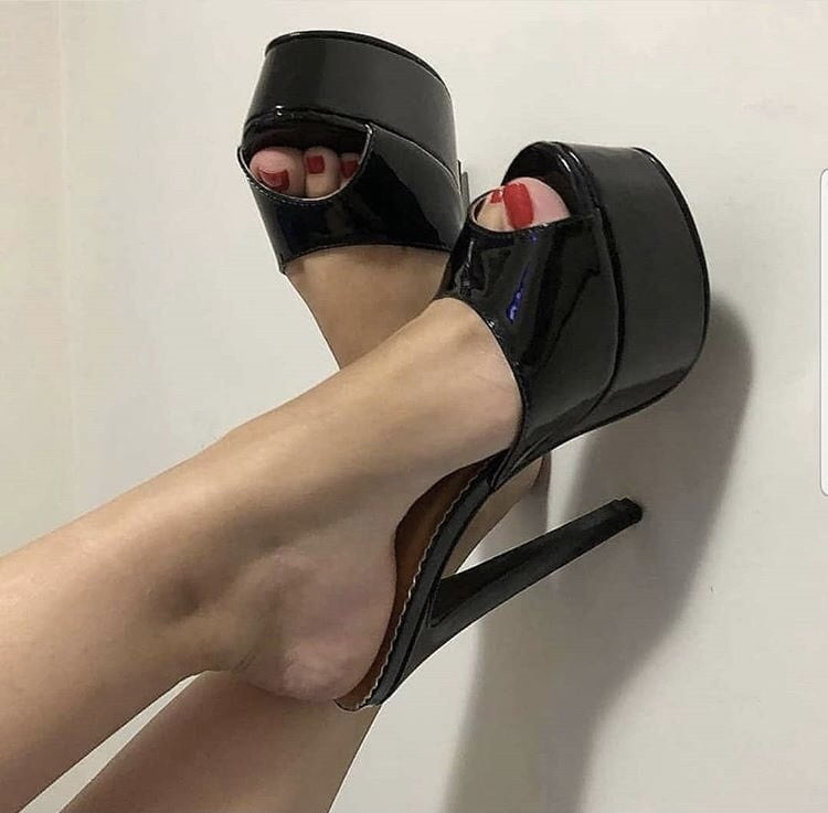 Plataforma
 #90011819