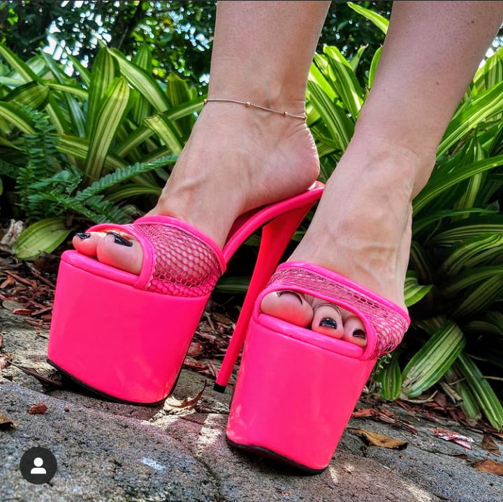 Plataforma
 #90011867