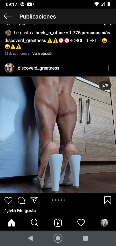 Plataforma
 #90011888