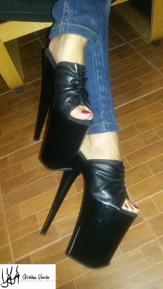 Plataforma
 #90011906