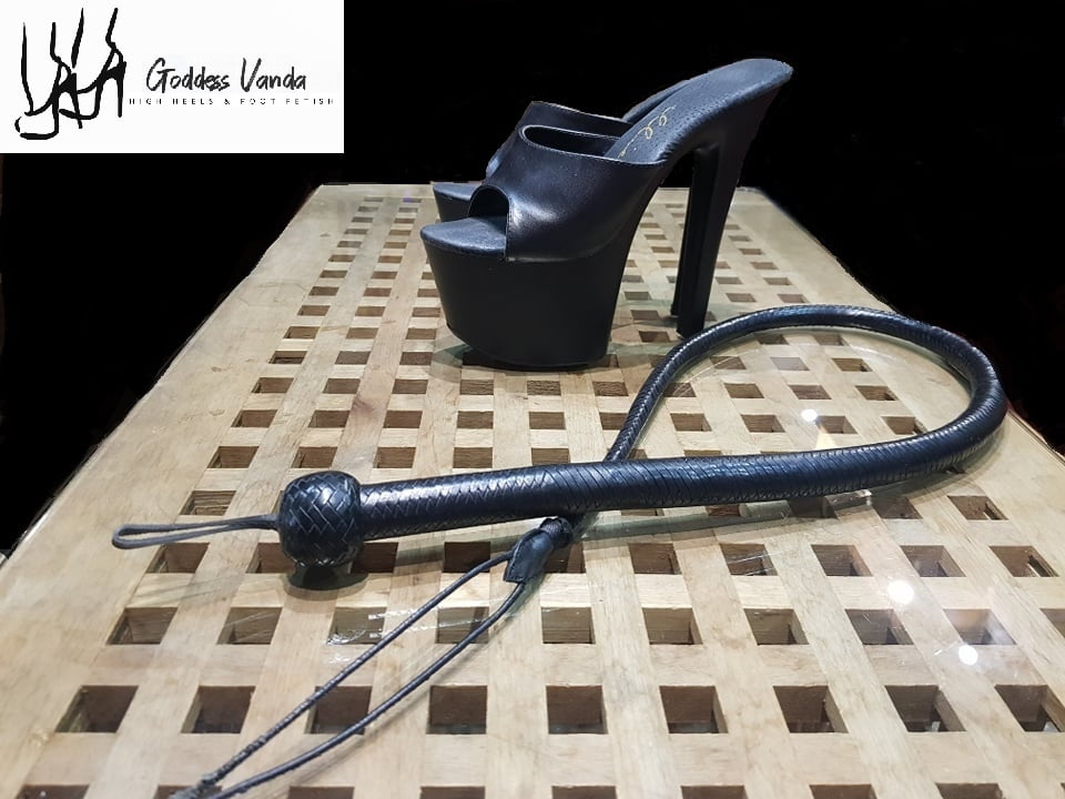 Plataforma
 #90011912