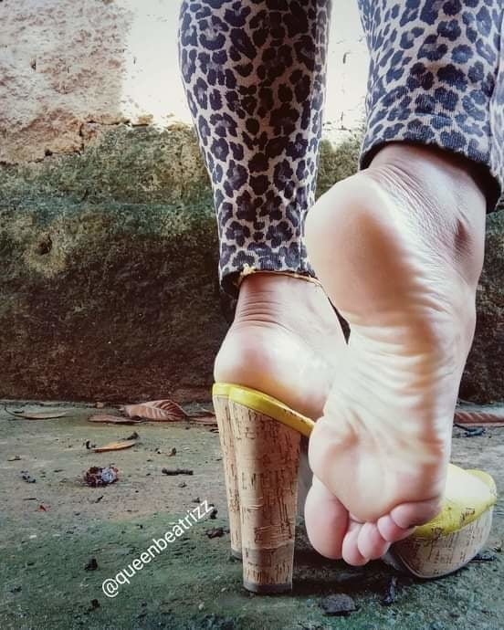 Plataforma
 #90011999