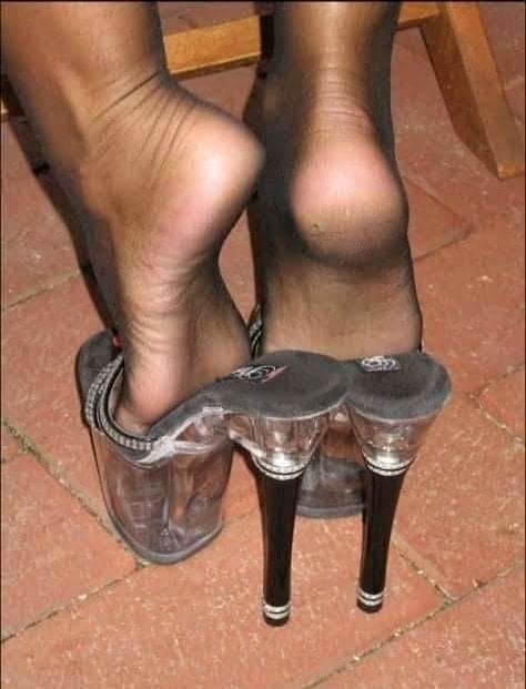 Plataforma
 #90012005