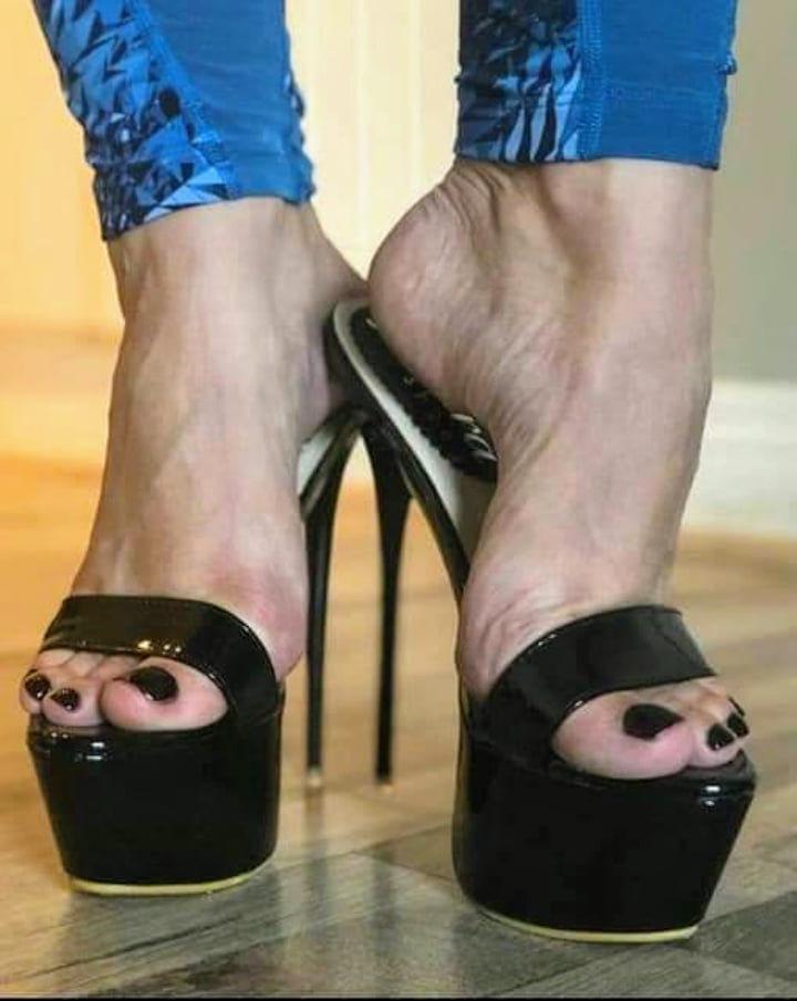 Plataforma
 #90012011