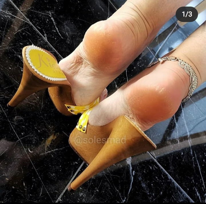 Plataforma
 #90012026