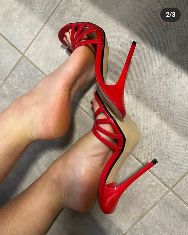 Plataforma
 #90012047