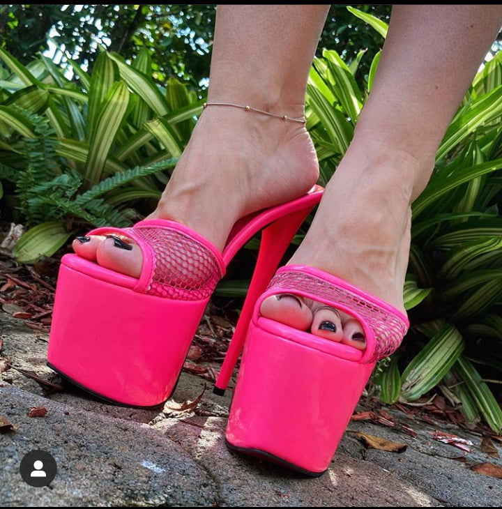 Plataforma
 #90012086