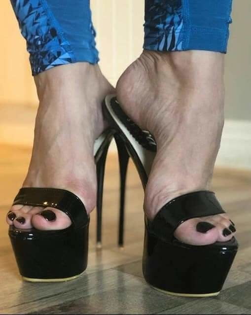 プラットフォーム
 #90012266