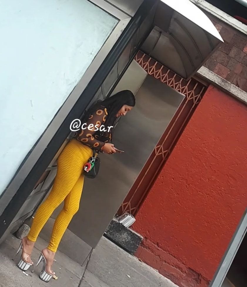 Plataforma
 #90012566