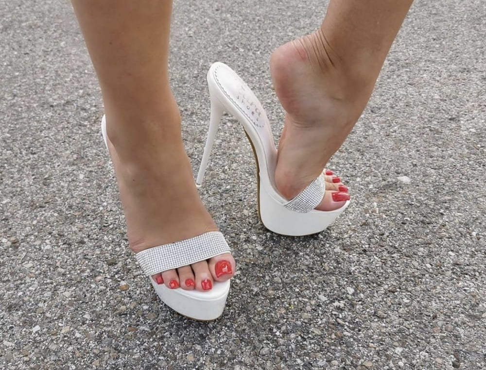 Plataforma
 #90012613