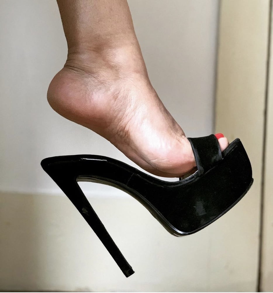 Plataforma
 #90012616