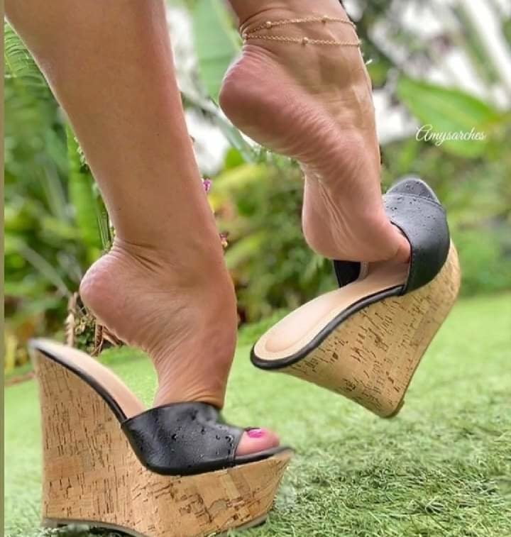 Plataforma
 #90012666