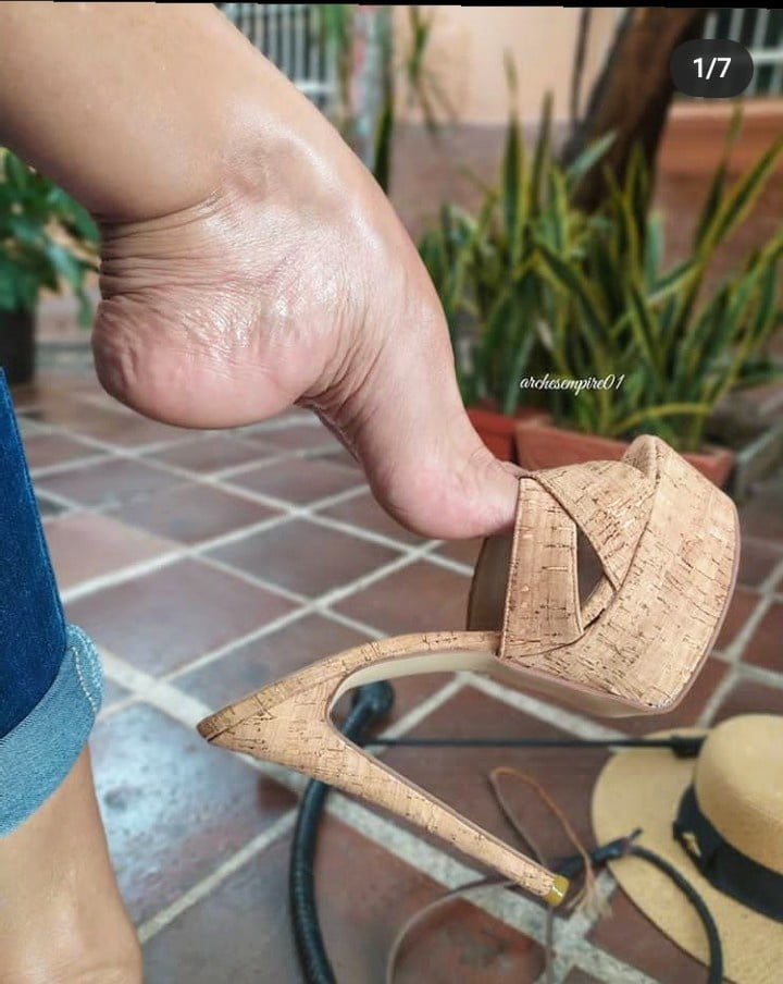 Plataforma
 #90012703