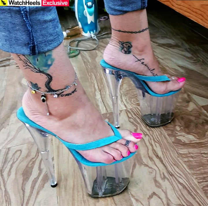 Plataforma
 #90012724