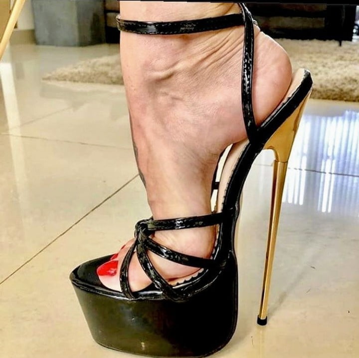 Plataforma
 #90013034