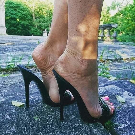 Plataforma
 #90013077