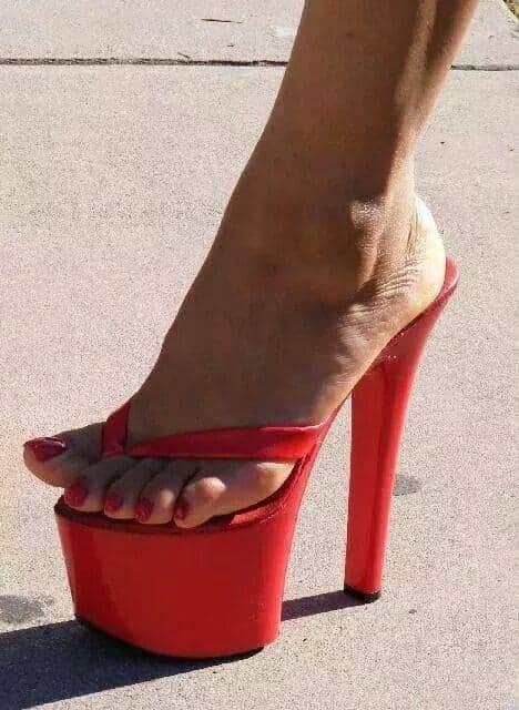 Plataforma
 #90013093