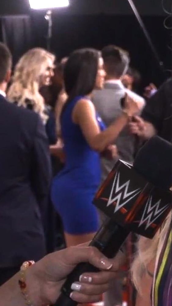 WWE Wrestling Divas Mix 53 #97684711