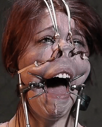 Assorted gifs 34 #94095973
