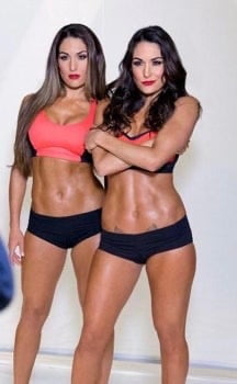 The Bella twins Nikki and Brie Bella wwe #100355672