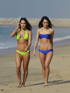 Le gemelle bella nikki e brie bella wwe
 #100355953