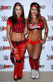 The Bella twins Nikki and Brie Bella wwe #100355962
