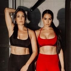 The Bella twins Nikki and Brie Bella wwe #100356076