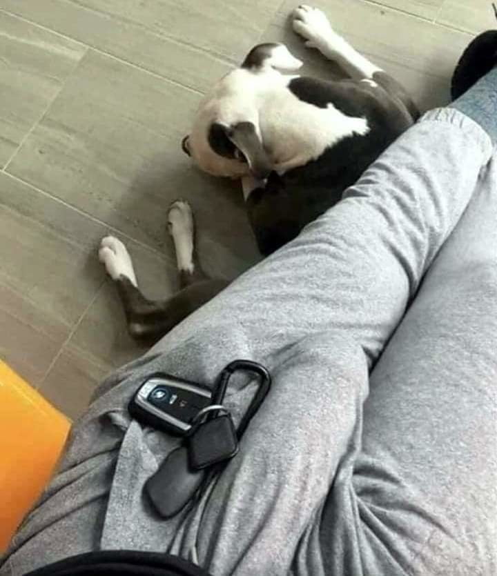 Sexy ladys v11
 #99528002