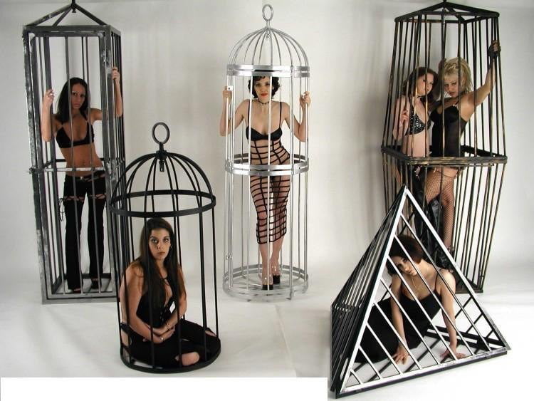 The Dom and Muse 11 #102251399