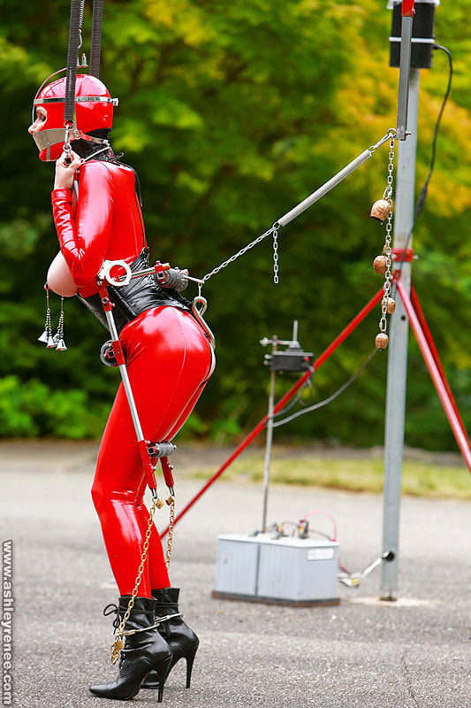 The Dom and Muse 11 #102251401