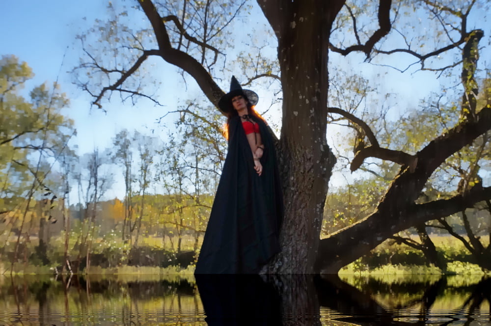 Witch on the Tree #106932736