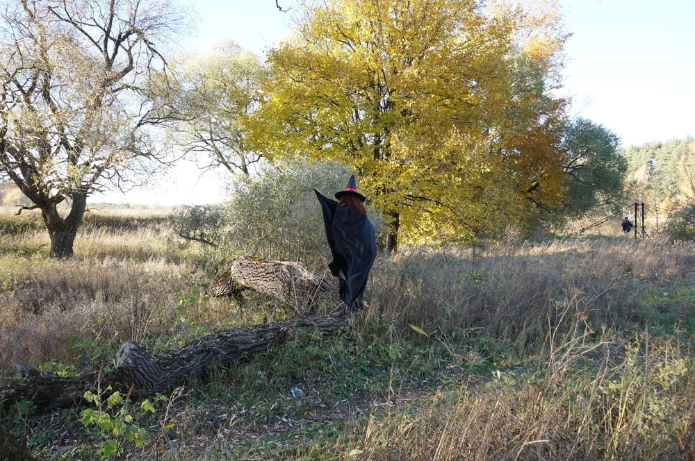 Witch on the Tree #106932747