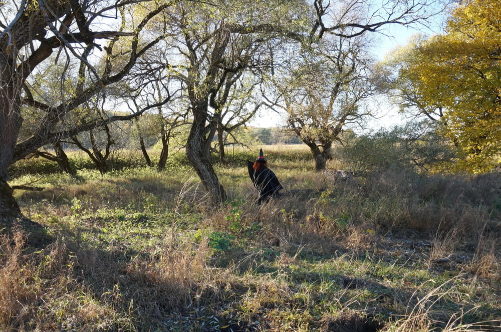 Witch on the Tree #106932750