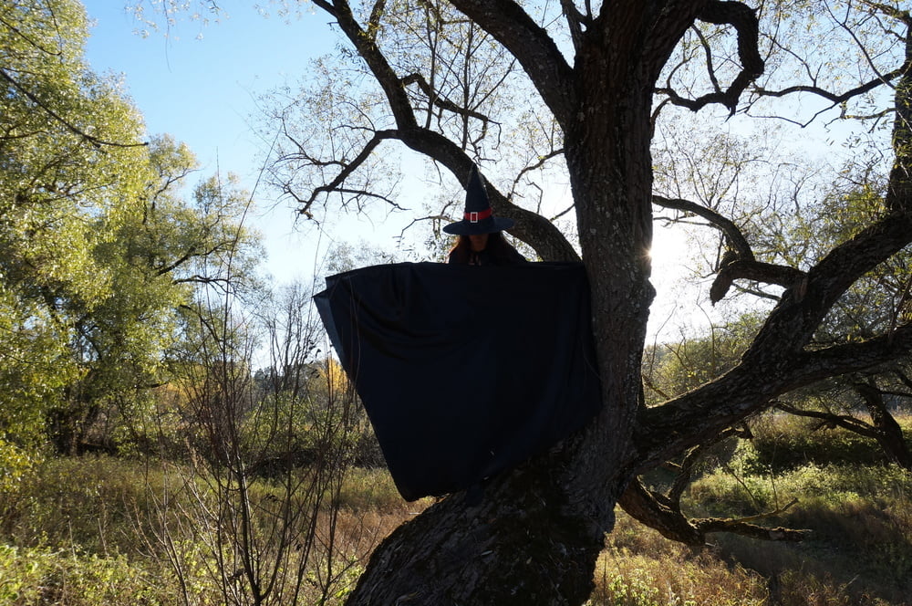 Witch on the Tree #106932753