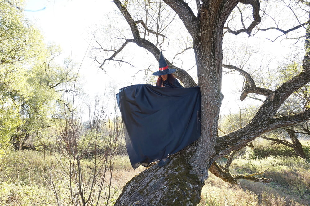 Witch on the Tree #106932756