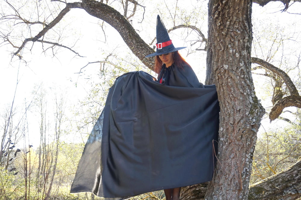 Witch on the Tree #106932759