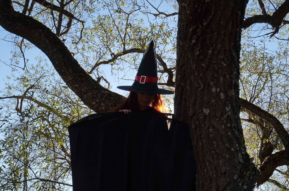 Witch on the Tree #106932771