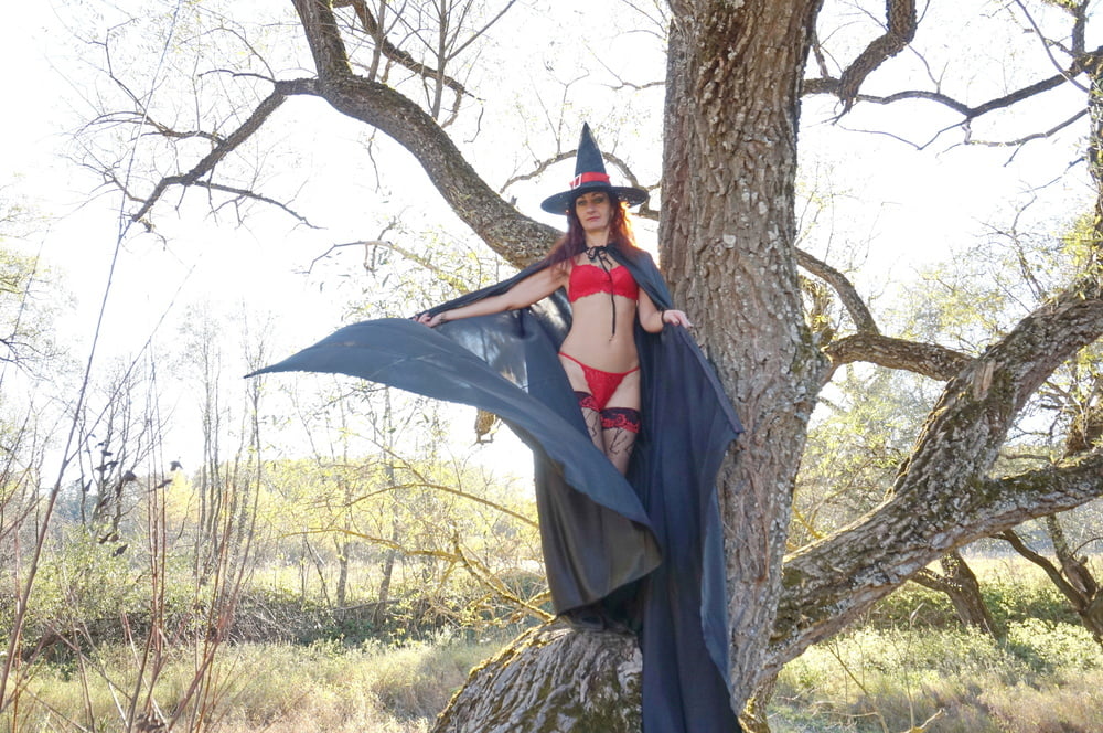 Witch on the Tree #106932789