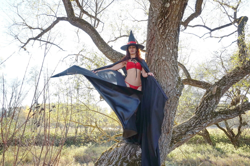 Witch on the Tree #106932795