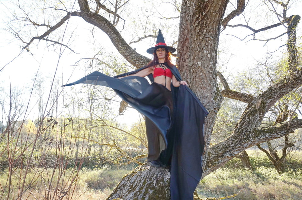 Witch on the Tree #106932798