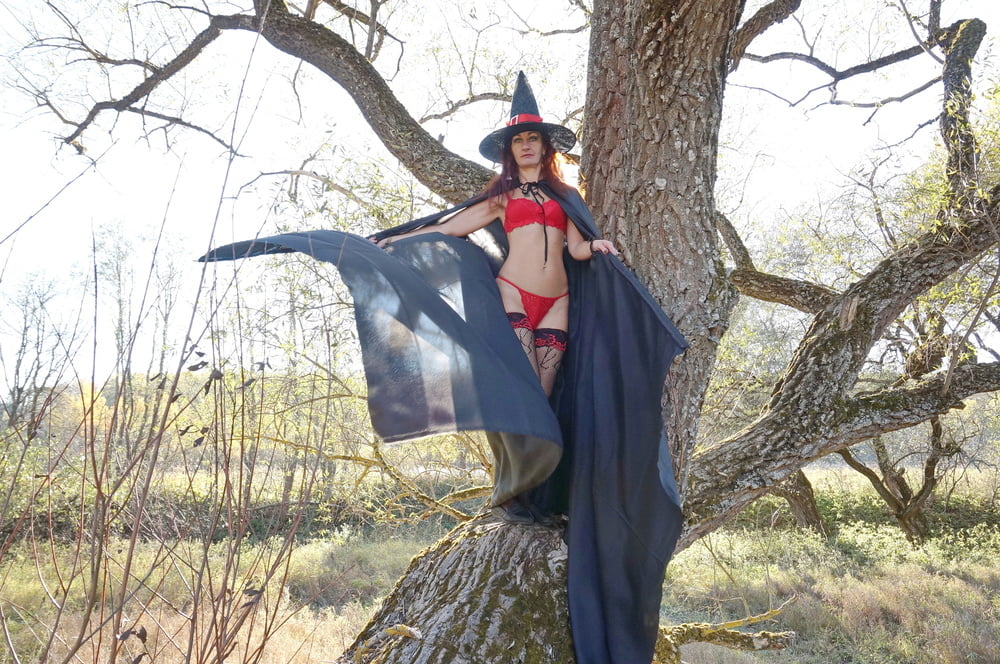 Witch on the Tree #106932805