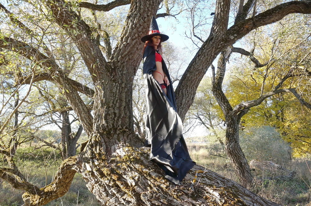 Witch on the Tree #106932807