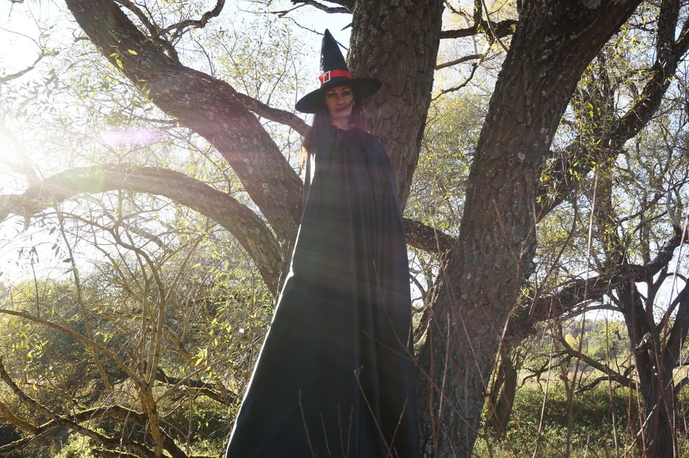 Witch on the Tree #106932813