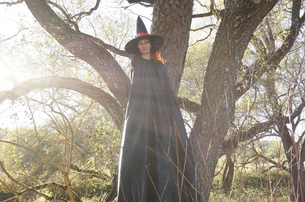 Witch on the Tree #106932814