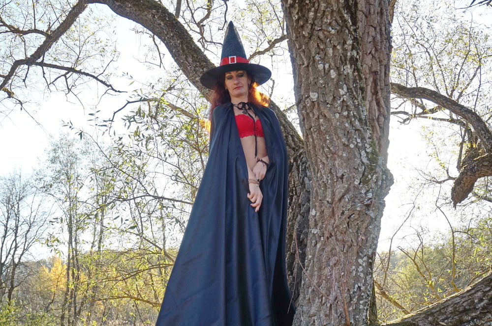 Witch on the Tree #106932815